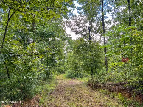 tbd Hurricane Rd, Utica, MS 39175 photo 20