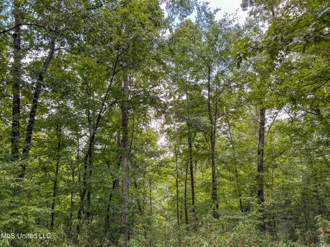 tbd Hurricane Rd, Utica, MS 39175 photo 32