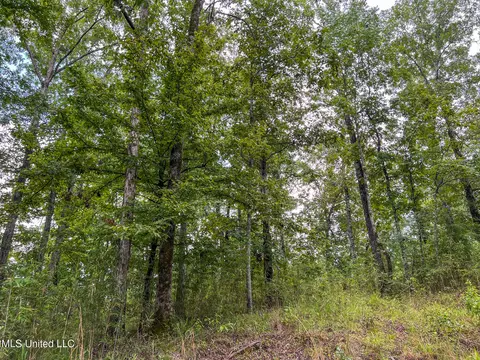 tbd Hurricane Rd, Utica, MS 39175 photo 35