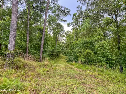 tbd Hurricane Rd, Utica, MS 39175 photo 23