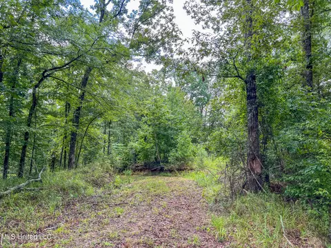 tbd Hurricane Rd, Utica, MS 39175 photo 17