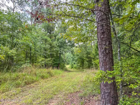 tbd Hurricane Rd, Utica, MS 39175 photo 26