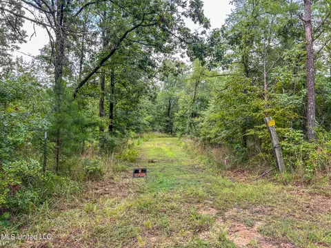 tbd Hurricane Rd, Utica, MS 39175 photo 13