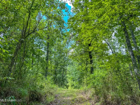 tbd Hurricane Rd, Utica, MS 39175 photo 40
