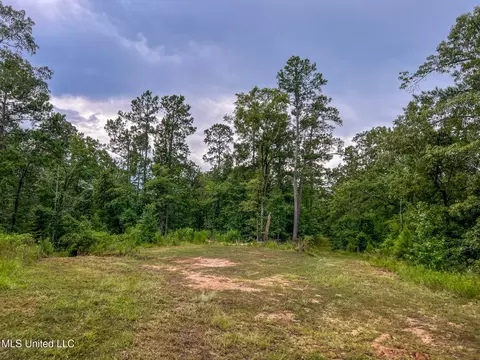 tbd Hurricane Rd, Utica, MS 39175 photo 15