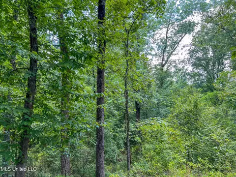 tbd Hurricane Rd, Utica, MS 39175 photo 18