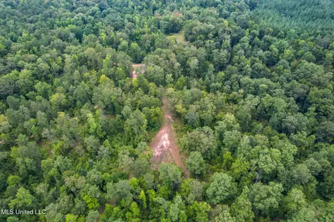 tbd Hurricane Rd, Utica, MS 39175 photo 8