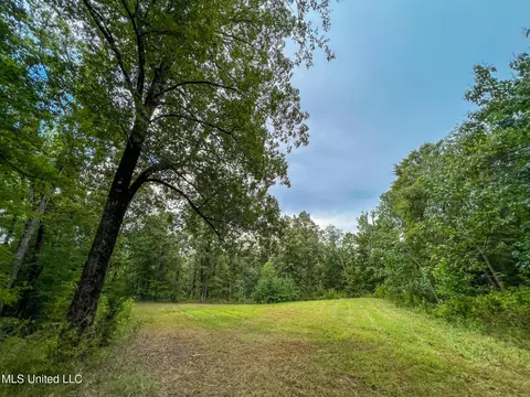 tbd Hurricane Rd, Utica, MS 39175 photo 29