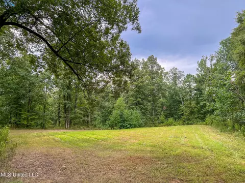 tbd Hurricane Rd, Utica, MS 39175 photo 28