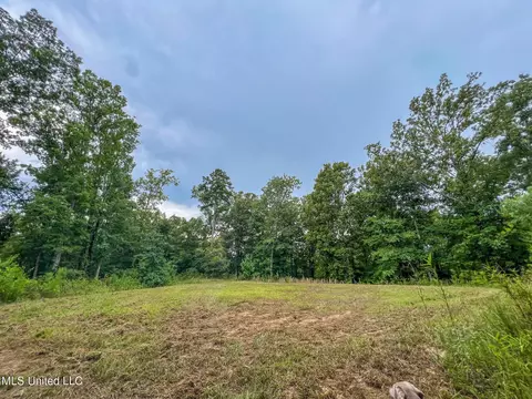 tbd Hurricane Rd, Utica, MS 39175 photo 37
