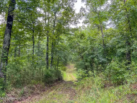 tbd Hurricane Rd, Utica, MS 39175 photo 34