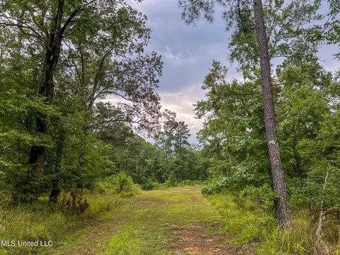 tbd Hurricane Rd, Utica, MS 39175 photo 14