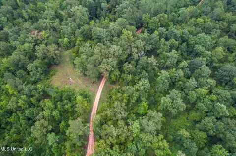 tbd Hurricane Rd, Utica, MS 39175 photo 9