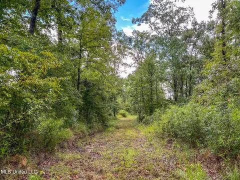 tbd Hurricane Rd, Utica, MS 39175 photo 22