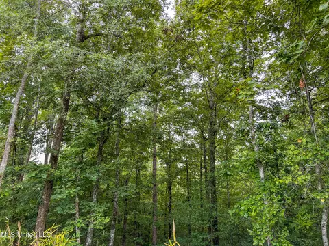 tbd Hurricane Rd, Utica, MS 39175 photo 39