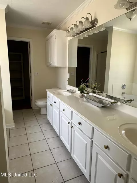 Bath - 125 Channing Cir, Canton, MS 39046 photo 3 of 4