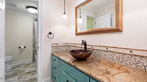 Bath - 112 Eastgate Cir, Forest, MS 39074 photo 3 of 4