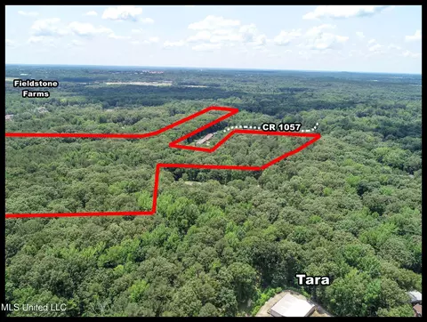 11 1057 Country Rd, Oxford, MS 38655