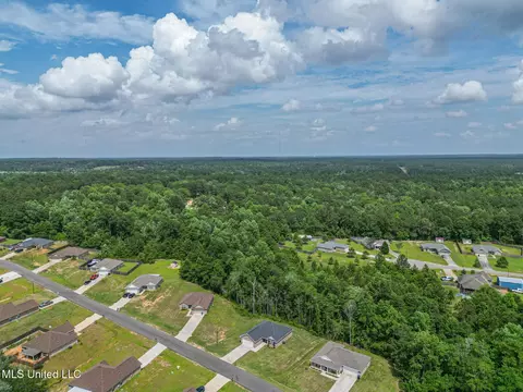 View/Area - 41 Cascade Cv, Perkinston, MS 39573 photo 2 of 2