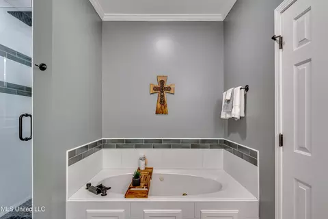 Bath - 568 Cliffview Dr, Brandon, MS 39047 photo 8 of 8
