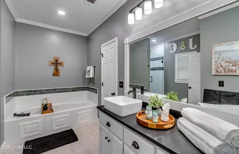 Bath - 568 Cliffview Dr, Brandon, MS 39047 photo 1 of 8