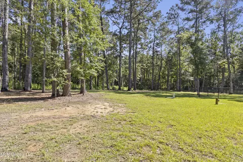 16825 Mcgregor Rd, Vancleave, MS 39565 photo 47
