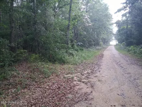 Us-45, State Line, MS 39362 photo 3