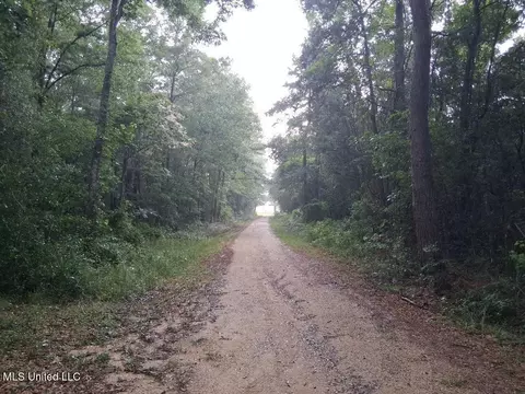 Us-45, State Line, MS 39362 photo 4