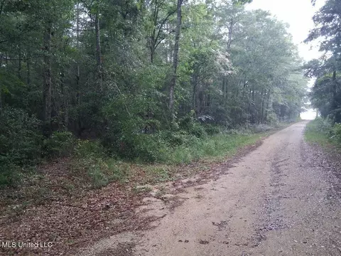 Us-45, State Line, MS 39362 photo 2