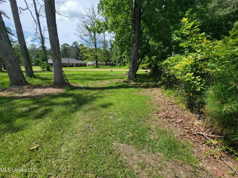 1505 E 3rd St, Forest, MS 39074 photo 6