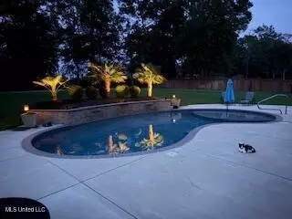 Exterior - 120 Saddlebrook Cv, Madison, MS 39110 photo 14 of 20