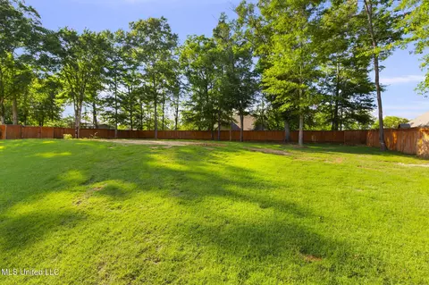 Exterior - 120 Saddlebrook Cv, Madison, MS 39110 photo 18 of 20