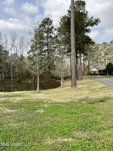 0 Pecan Grove Dr, Magee, MS 39111 photo 9