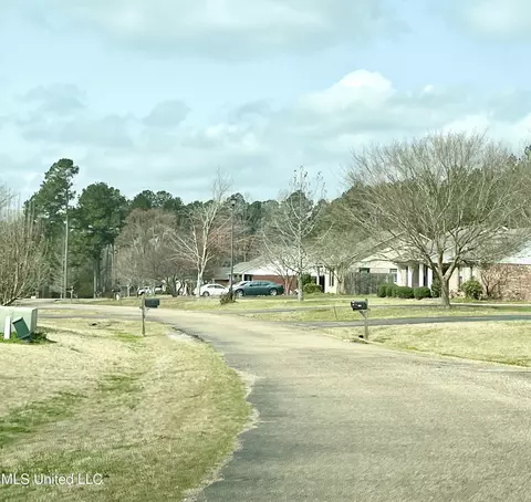 0 Pecan Grove Dr, Magee, MS 39111 photo 3