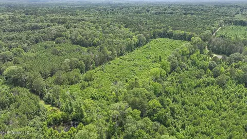 Barnes Rd, Florence, MS 39073 photo 8