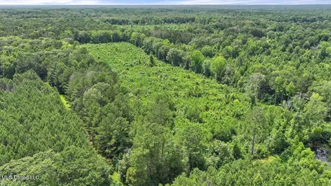 Barnes Rd, Florence, MS 39073 photo 9