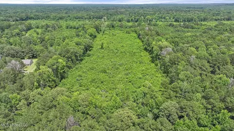Barnes Rd, Florence, MS 39073 photo 2