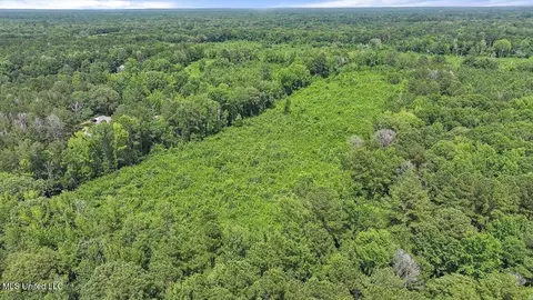 Barnes Rd, Florence, MS 39073 photo 13