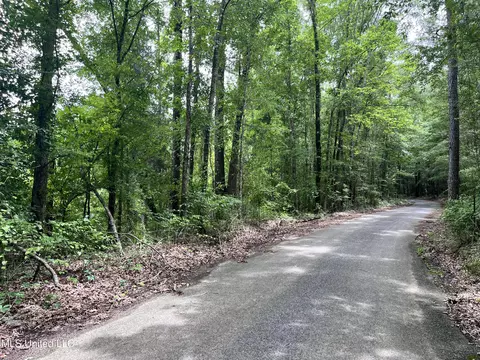 Barnes Rd, Florence, MS 39073 photo 14