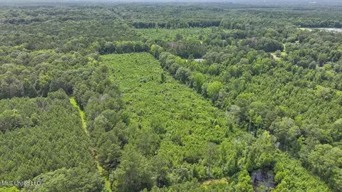Barnes Rd, Florence, MS 39073 photo 7