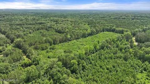 Barnes Rd, Florence, MS 39073 photo 10