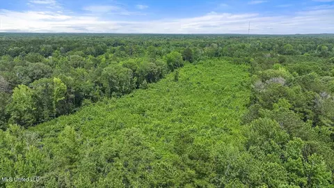 Barnes Rd, Florence, MS 39073 photo 6