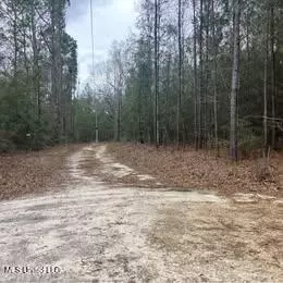 100 Marty Ln, Perkinston, MS 39573