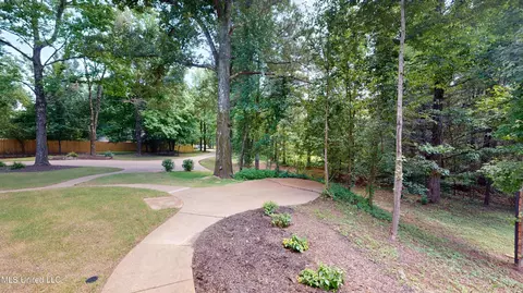 3740 Pleasant Hill Rd, Nesbit, MS 38651 photo 56
