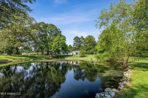 255 Pleasant Hill Rd, Nesbit, MS 38651 photo 33