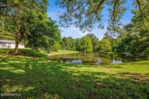 255 Pleasant Hill Rd, Nesbit, MS 38651 photo 32