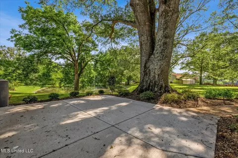 255 Pleasant Hill Rd, Nesbit, MS 38651 photo 29