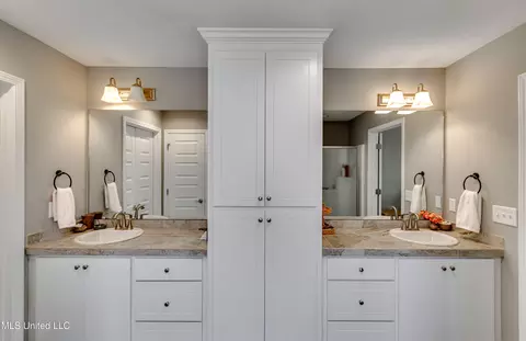 Bath - 914 Filmore Dr, Brandon, MS 39042 photo 3 of 7