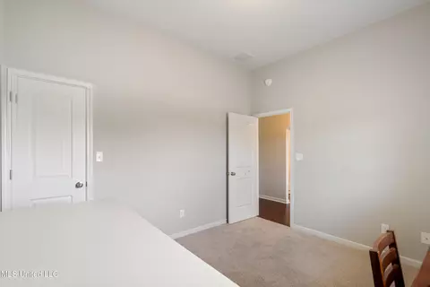 3282 Magnolia Bloom Dr, Hernando, MS 38632 photo 7