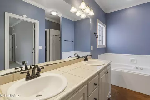 Bath - 153 Regatta Dr, Brandon, MS 39047 photo 2 of 4